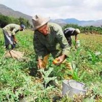 Imagen de apoyo de  Bachelet da la bienvenida a la nueva declaracion de la ONU para proteger a los campesinos