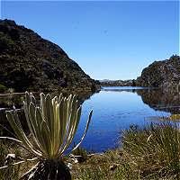 Imagen de apoyo de  Ciento cuarenta y dos mil hectareas del Paramo de Santurban estan en peligro