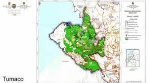 Imagen de apoyo de  Donde avanzan procesos de paz hay un impulso muy fuerte de la sustitucion de la hoja de coca directora de Sustitucion de Cultivos