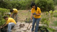 Imagen de apoyo de  guardabosques para la paz aumentaran presencia de la cvc en el valle del cauca