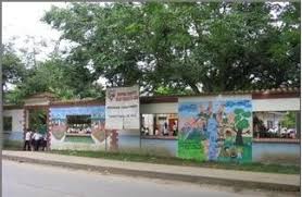Imagen de apoyo de  Se destituye e inhabilita por 15 aos a docente indigena de Guania por tener relaciones sexuales con una estudiante menor de 14 aos de edad