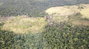 Imagen de apoyo de  Se hace un llamado a las autoridades municipales y distritales a formular los planes de gestion de cambio climatico