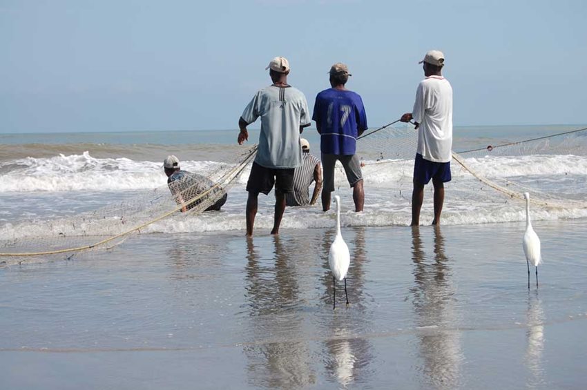 Imagen de apoyo de  Colombia Agil se extienden a pescadores y a productores de cerveza artesanal