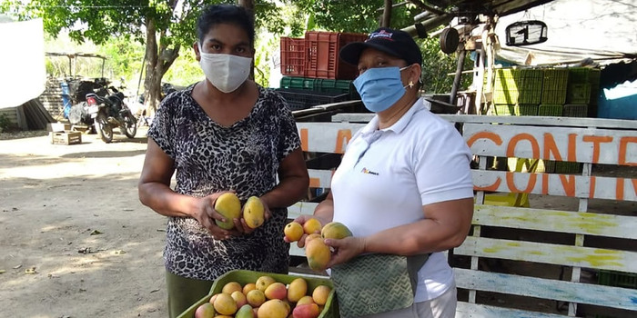 Imagen de apoyo de La ANI impulsa a productores y emprendedores afectados por el Covid19 en el Magdalena