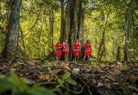 Imagen de apoyo de  Fueron solicitados los avances en los compromisos asumidos con las mujeres indigenas en el Plan Nacional de Desarrollo