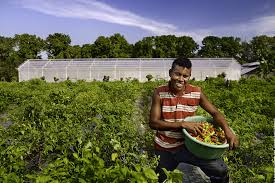 Imagen de apoyo de  ANT invierte 6300 millones en iniciativas productivas para pueblos indigenas y comunidades afro