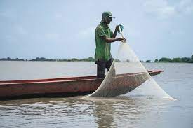 Imagen de apoyo de  Se debe estimular la pesca artesanal sostenible en el Rio Magdalena