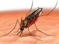 Imagen de apoyo de  Colombia comprometido con la eliminacion de la malaria