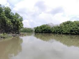 Imagen de apoyo de  Se avanza con la discusion del proyecto para la restauracion ecologica de la Cienaga de Santa Marta