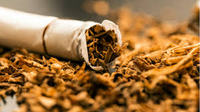 Imagen de apoyo de La OMS insta a los gobiernos a que hagan cumplir las prohibiciones de la publicidad promocion y patrocinio del tabaco
