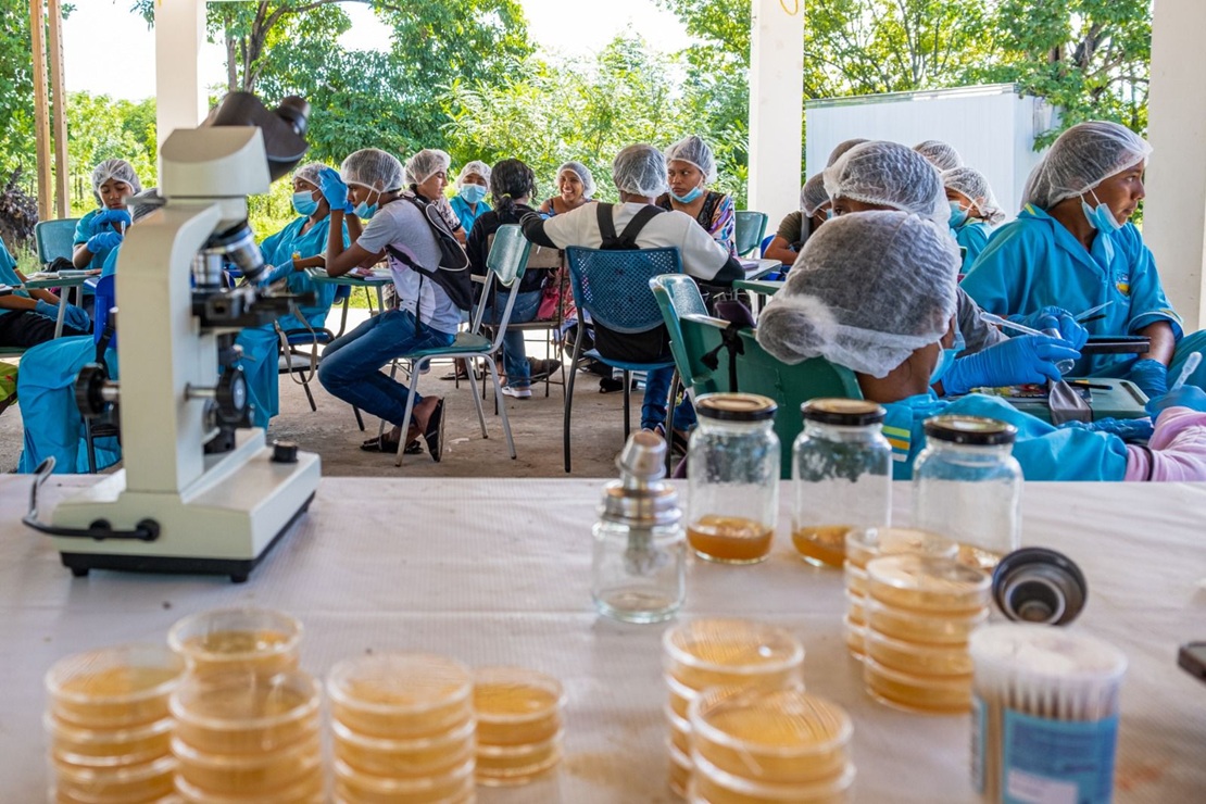 Imagen de apoyo de  Ministerio de Educacion inicia la implementacion territorial de los Clubes de Ciencia Colombia 2025  Semillas