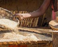 Imagen de apoyo de El hambre en el mundo lleva tres aos sin disminuir y la obesidad sigue creciendo