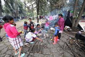 Imagen de apoyo de  Se recomienda a la Alcaldesa de Bogota a gestionar y participar del dialogo con la Comunidad Indigena asentada en el Parque Nacional