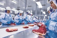 Imagen de apoyo de  Desde Cartagena sale el primer contenedor de carne bovina hacia Emiratos Arabes Unidos