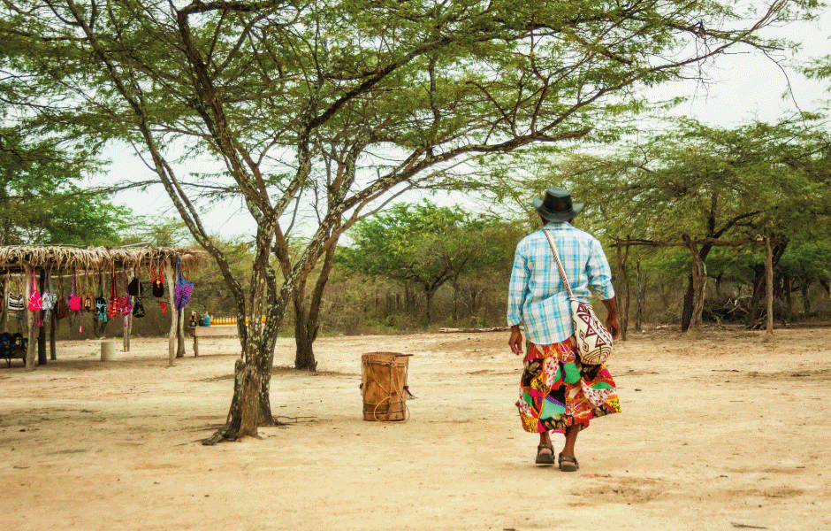 Imagen de apoyo de  Corte Constitucional declara el cumplimiento medio de la orden tercera de la Sentencia T302 de 2017 en cuanto a la creacion del Mecanismo Especial de Seguimiento y Evaluacion de Politicas Publicas