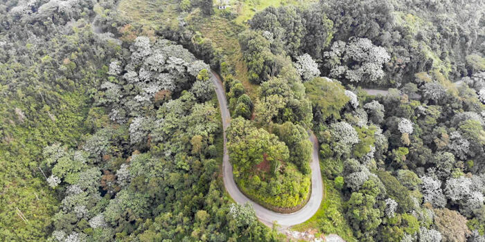 Imagen de apoyo de  El INVIAS destina 3800 millones para mejorar la conexion entre Salento y la autopista del Cafe