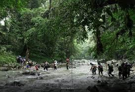 Imagen de apoyo de  Se advierte sobre la crisis migratoria en Cucuta y Tapon del Darien