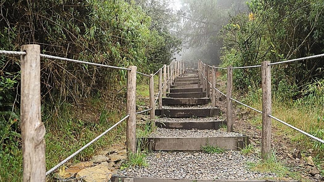 Imagen de apoyo de  4 senderos de Bogota abiertos para disfrutar de la naturaleza en epoca navidea