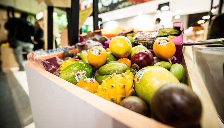 Imagen de apoyo de Gobierno nacional lanza el Mecanismo Intersectorial para potenciar la Bioeconomia en el pais