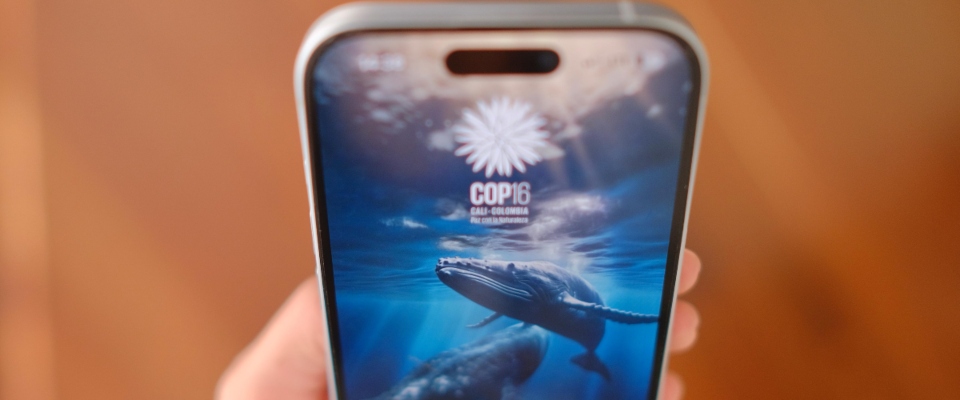 Imagen de apoyo de Ministerio TIC lanza COP16 Paz con la naturaleza la aplicacion oficial de la Cumbre