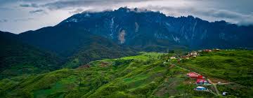 Imagen de apoyo de  Seis pasos para un planeta mas limpio y saludable despues de la pandemia del coronavirus