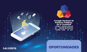 Imagen de apoyo de Se insto a Colombia Joven para que conforme la plataforma nacional de juventud
