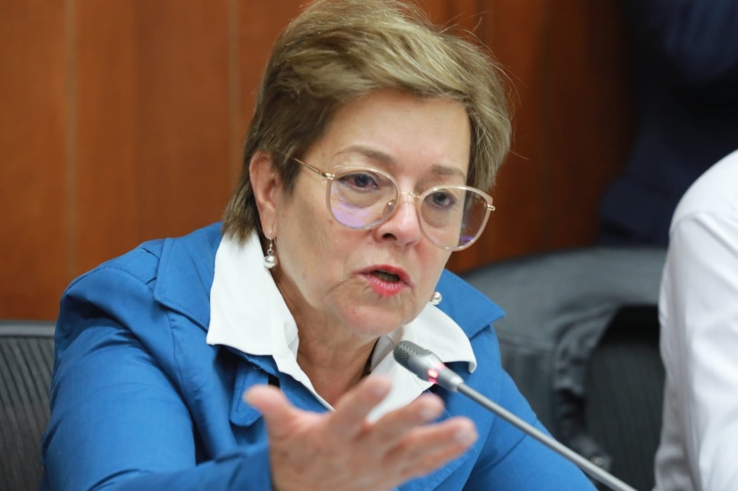 Imagen de apoyo de  OIT respalda el proceso de reforma laboral que se adelanta en el Congreso menciona Mintrabajo