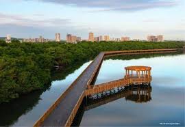 Imagen de apoyo de  Fueron denunciadas unas posibles afectaciones ambientales por ejecucion del proyecto Ciudad Mallorquin y presenta accion popular