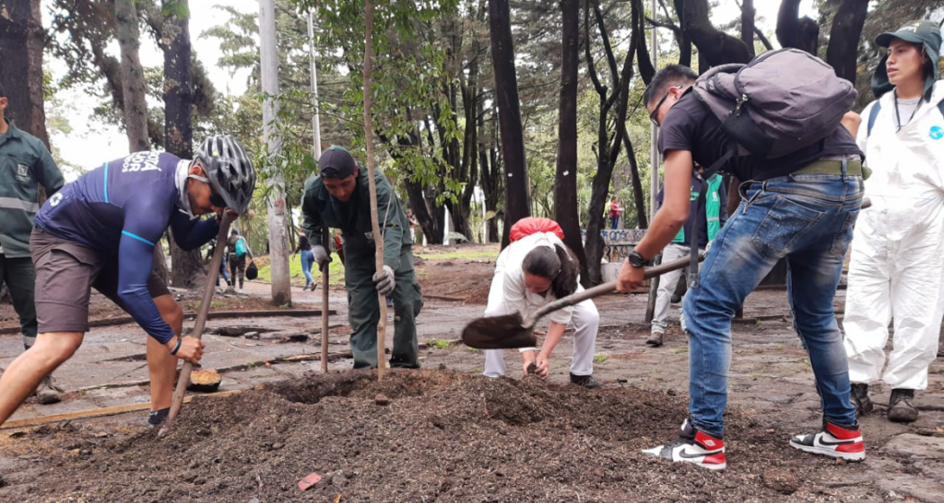 Imagen de apoyo de  Distrito planto 120 arboles en parque Nacional
