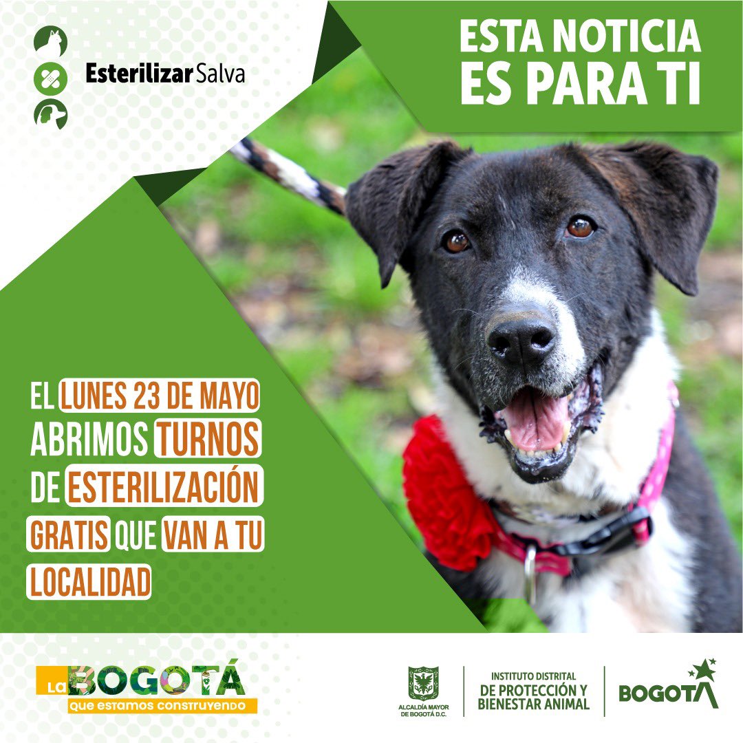 Imagen de apoyo de  Turnos de esterilizaciones para animales en junio en Bogota