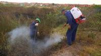 Imagen de apoyo de  Secretaria de Ambiente comienza proceso de recuperacion del humedal Tibanica tras incendio