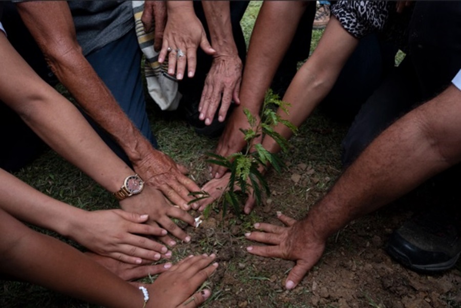 Imagen de apoyo de  La naturaleza y sus defensores no pueden ser victimas de la guerra