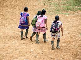 Imagen de apoyo de El juzgado de Quibdo amparo los derechos fundamentales de 15 asentamientos indigenas victimas de desplazamiento