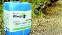 Imagen de apoyo de  Radican proyecto para prohibir glifosato en Colombia