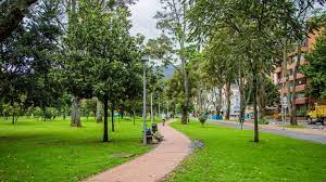 Imagen de apoyo de  Compensacion para el arbolado urbano por obras que se realicen en la ciudad 5x1