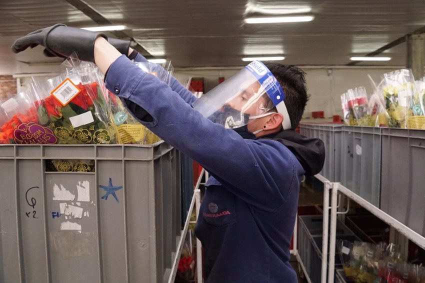 Imagen de apoyo de  Las empresas continuan retomando actividades ya van 254761 autorizadas