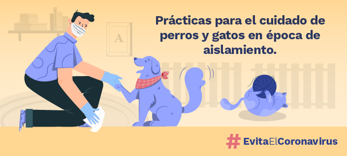 Imagen de apoyo de  Practicas para el cuidado de perros y gatos en epoca de aislamiento