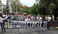 Imagen de apoyo de  Sobre la decision Consejo de Estado frente al desacato en la consulta popular minera de Cordoba Quindio