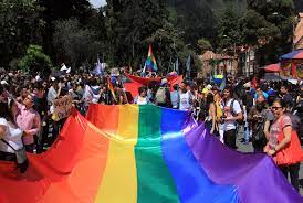 Imagen de apoyo de Se fijan los parametros a la justicia con enfoque de genero frente a parejas con orientacion sexual o identidad de genero diversas