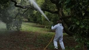 Imagen de apoyo de  Son prohibidas 35 plaguicidas por su dao a la salud y al medio ambiente