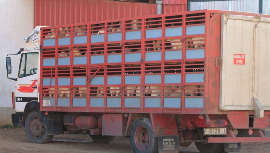 Imagen de apoyo de Radican proyecto que busca reglamentar condiciones de transporte para animales