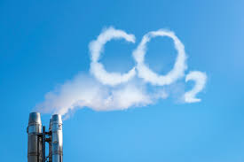 Imagen de apoyo de  Procurador pidio a MinHacienda y Fondo Colombia en Paz informe sobre la ejecucion de los recursos recaudados por el impuesto al carbono