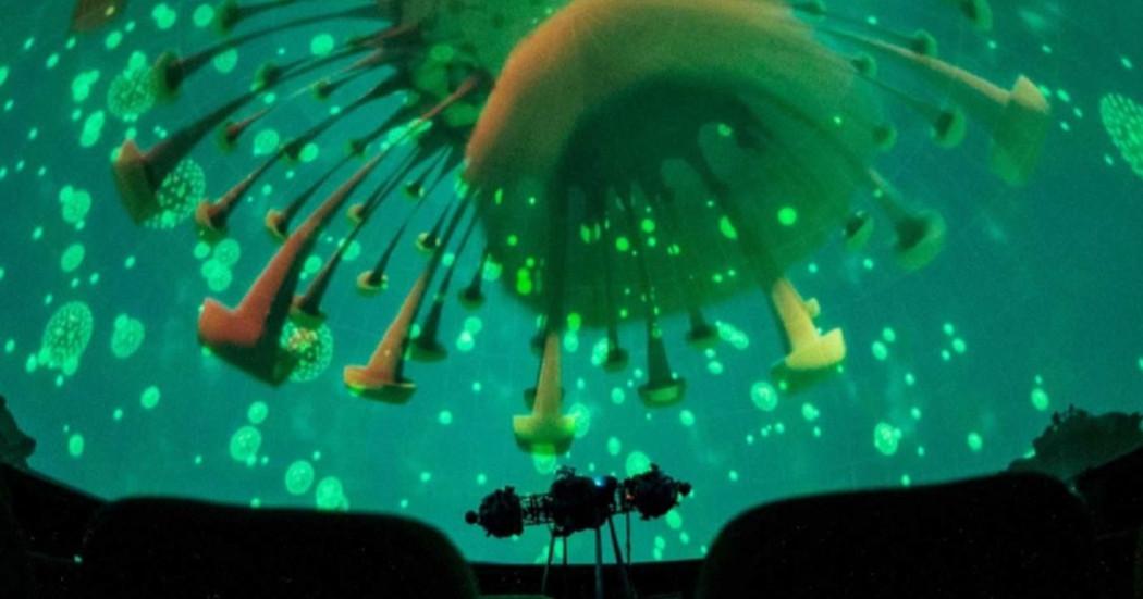 Imagen de apoyo de  Curso de Biologia Evolutiva en el Planetario de Bogota