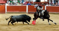 Imagen de apoyo de  Camara retomara discusion sobre prohibicion de corridas de toros