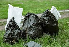 Imagen de apoyo de  Se le piden acciones inmediatas a Claudia Lopez para atender critica situacion de basuras en la ciudad