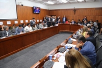 Imagen de apoyo de  Prohibicion al asbesto tamizaje neonatal y ley de empanada aprobados por Comision Septima