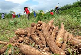 Imagen de apoyo de  Es solicitado una ampliacion del plazo y se hacen observaciones a proyecto de resolucion que modifica areas agricolas protegidas en La Guajira