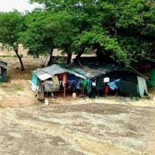 Imagen de apoyo de Se logra la reubicacion de 27 comunidades indigenas en Puerto Carreo con tutela