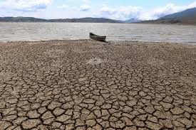 Imagen de apoyo de  Presidente Ivan Duque presenta su legado para la lucha contra la crisis climatica