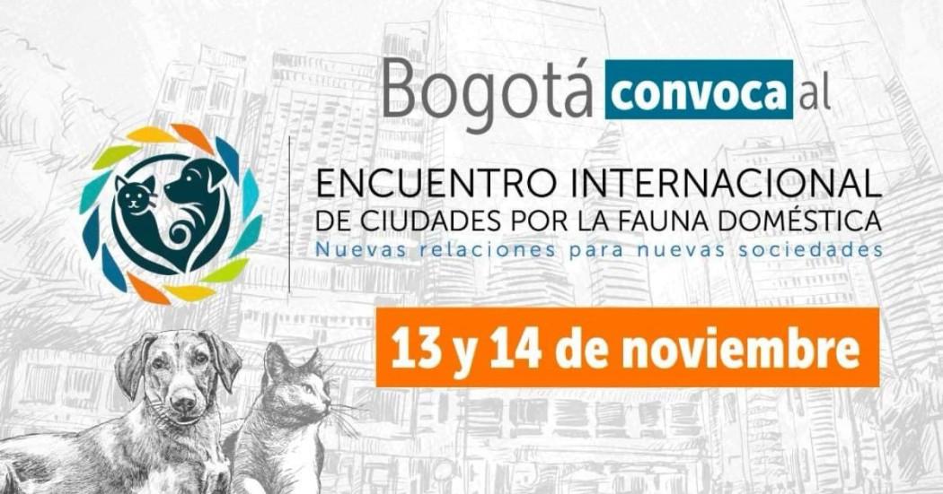 Imagen de apoyo de  Bogota convoca al Encuentro Internacional de Ciudades por la Fauna Domestica